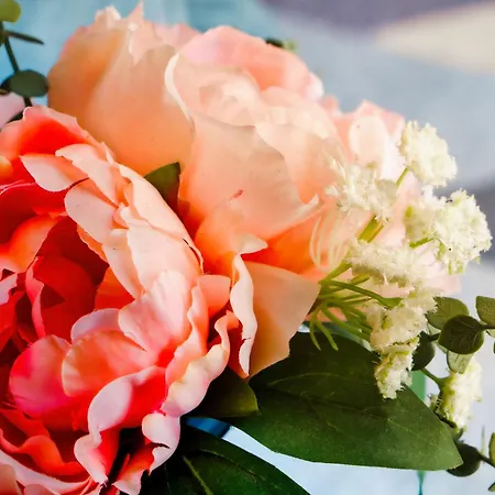 Serena Solvista - Cristianos