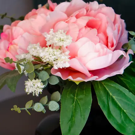 Appartamento Serena Solvista - Cristianos *